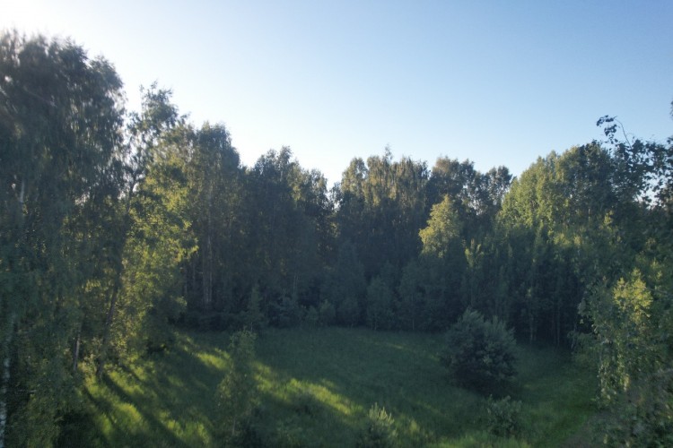 DJI_0858