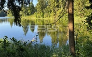 IMG_0340