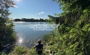 IMG_0348