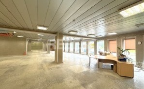 IMG_0498