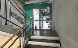 IMG_6594