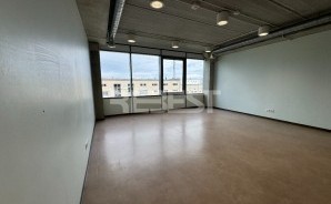IMG_6598