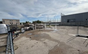 IMG_6855