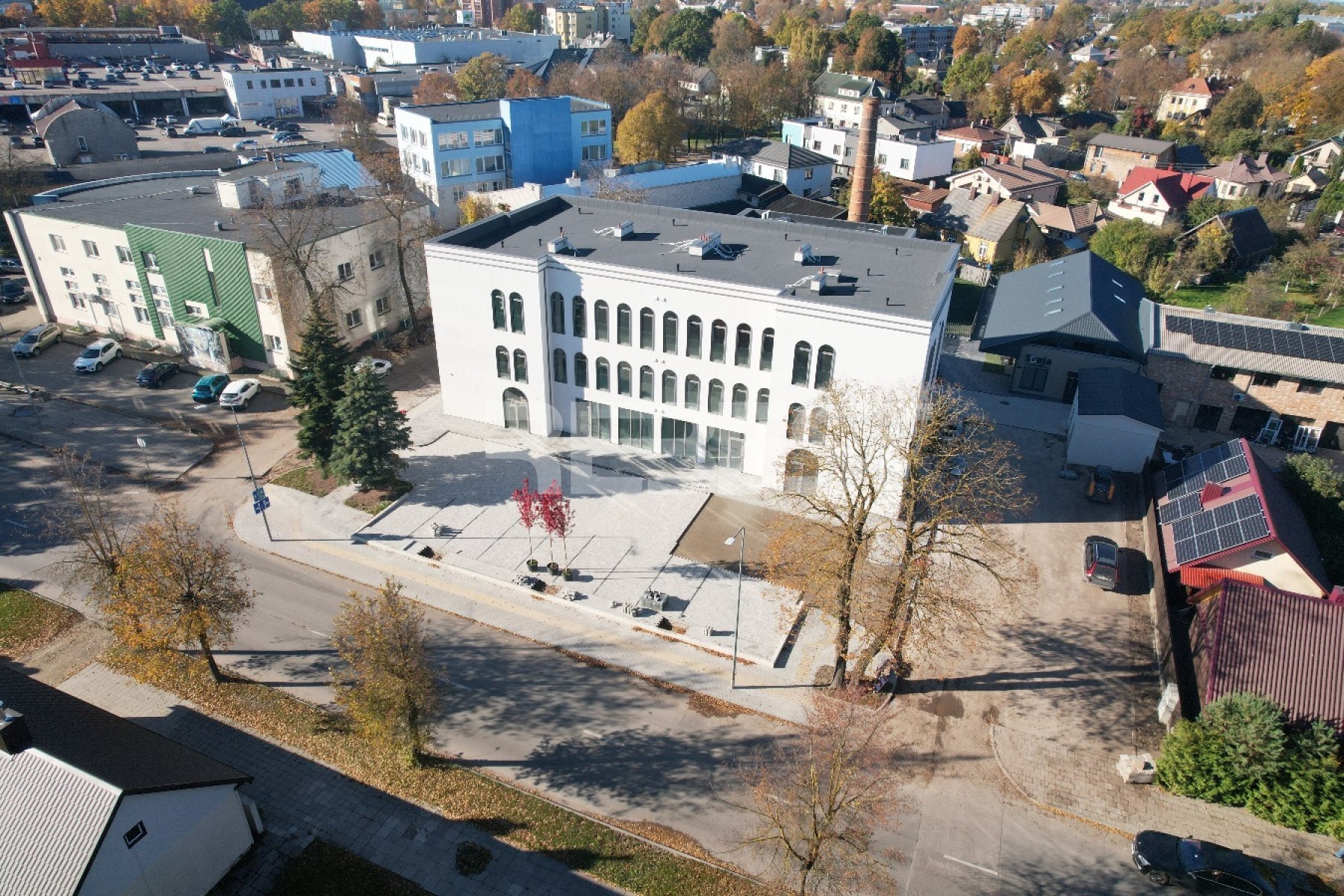 DJI_0081