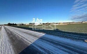 IMG_8116