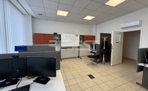 IMG_8026