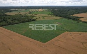 DJI_0178