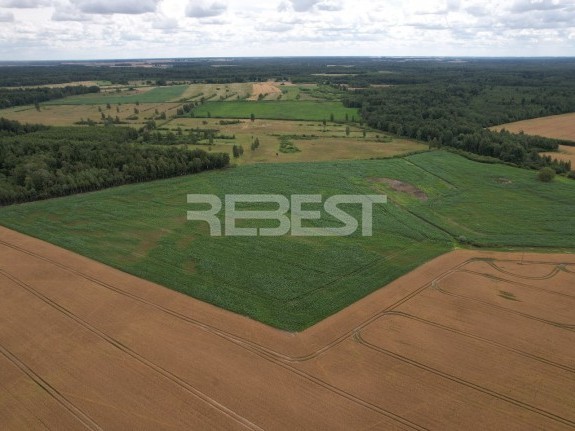 DJI_0178