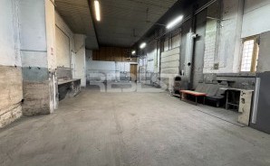 IMG_8126
