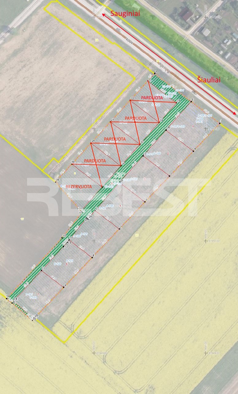 planas_prie_Siauliu_juros