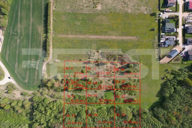 DJI_0746