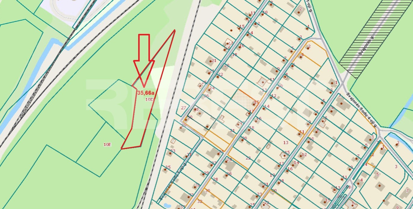 Ekrano_nuotrauka_2025-07-03_084651