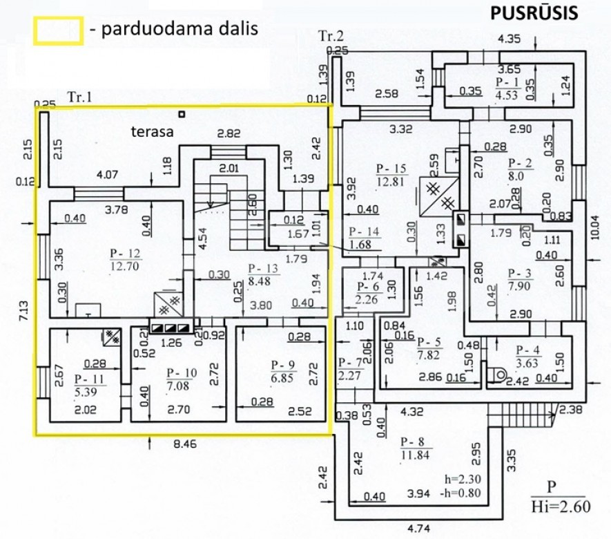 Pusrusis