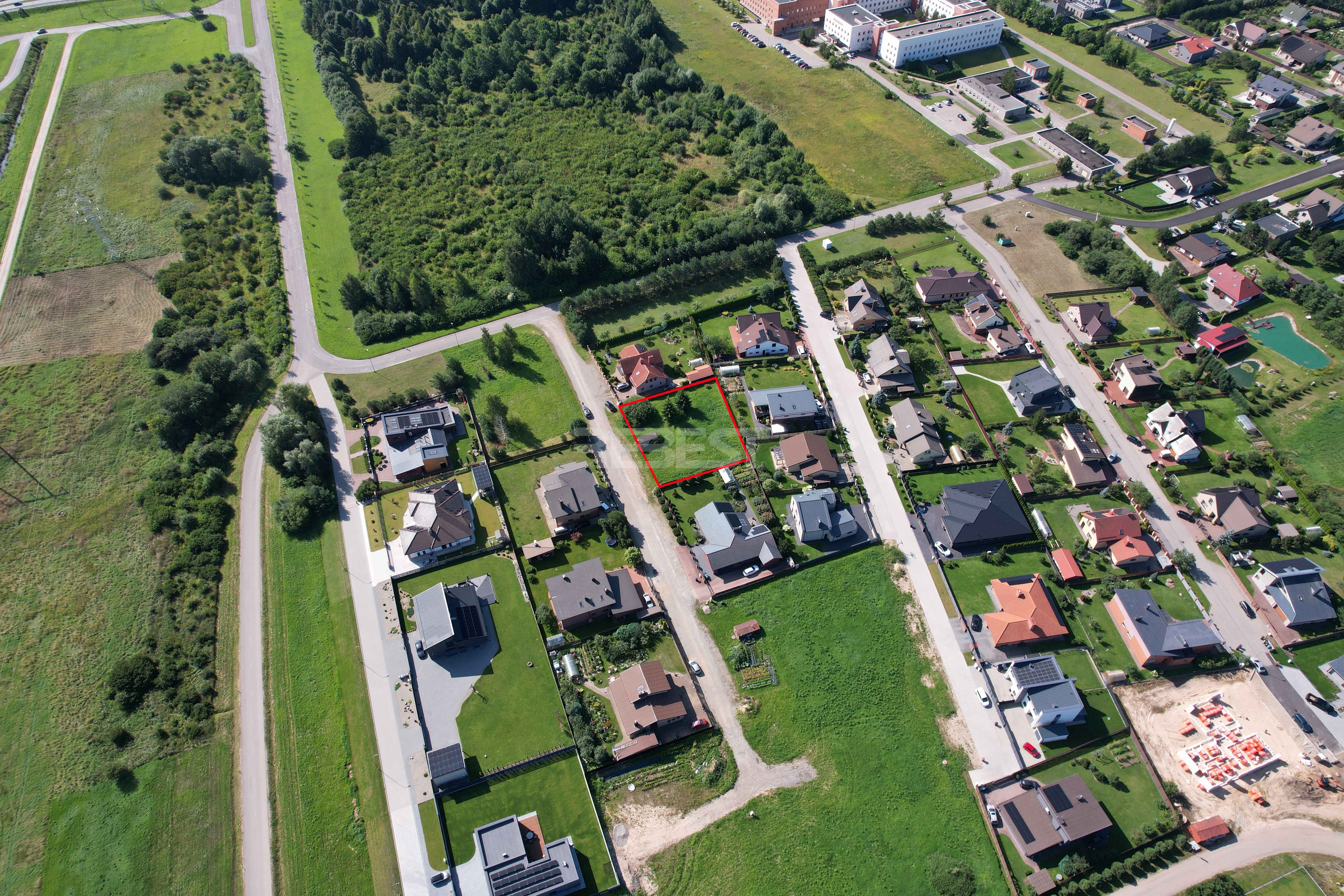 dji_fly_20260804_103630_406_1785849888675_photo