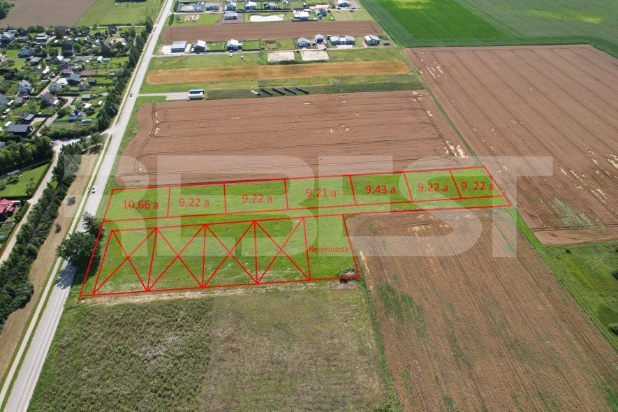 dji_fly_20260804_113704_444_1785849808166_photo