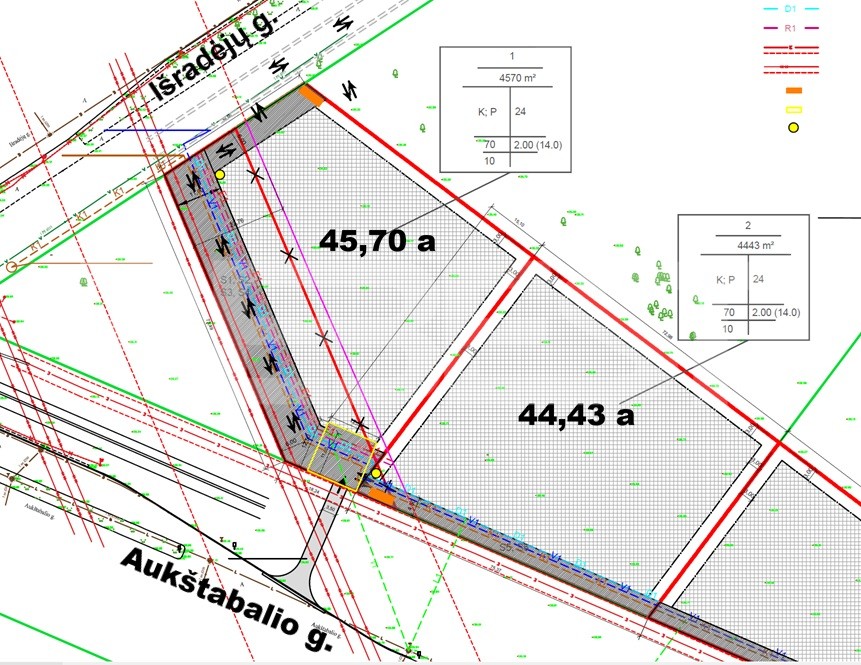 padidintas_planas