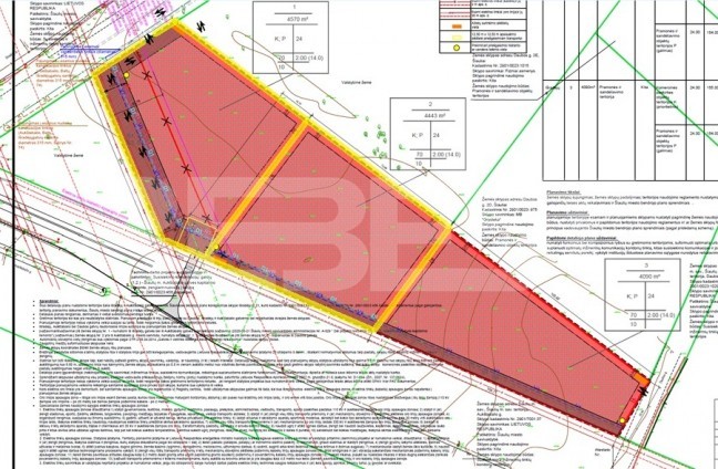 planas1png