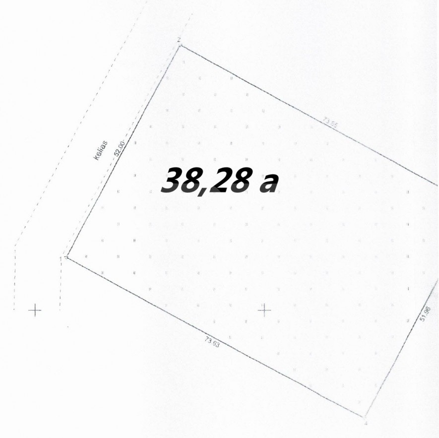 38,28_a_planas
