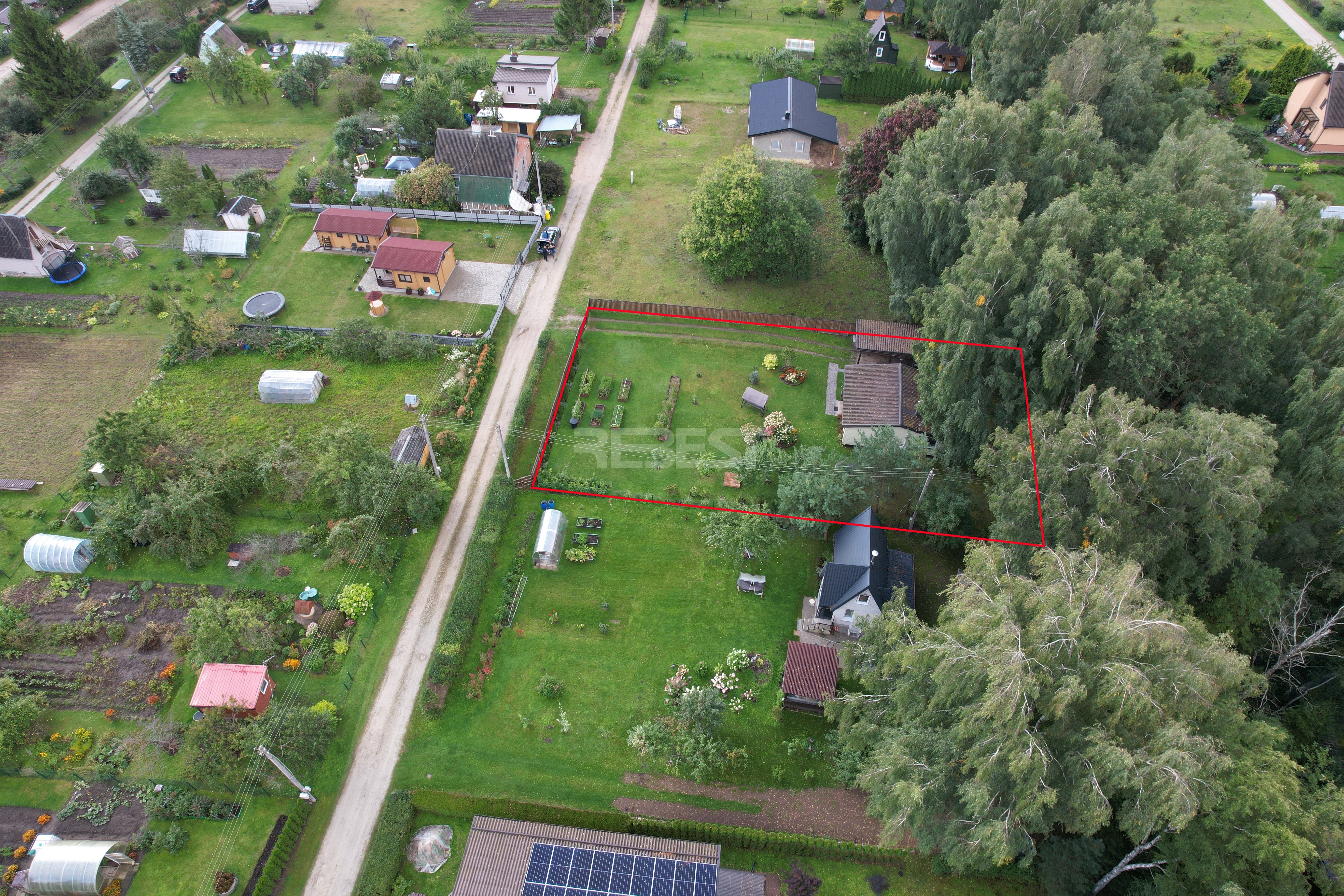 dji_fly_20260903_110958_544_1788453949774_photo